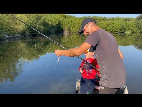 Видео: Ломать не строить//Сарай для телят//Рыбалка//Мёд//Баклажаны.
