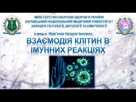 Видео: Взаємодія клітин в імунних реакціях