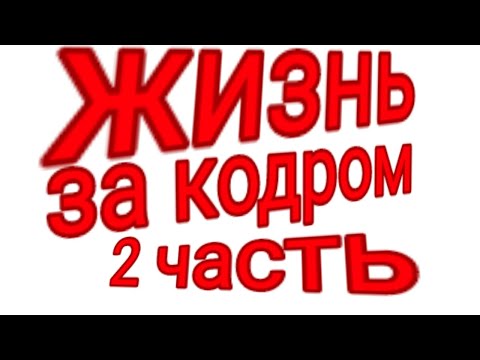 Видео: Жизнь за кадром - 2 часть(13 карт)_гача/клуб