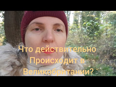 Видео: Что на самом деле происходит в Великобритании? Перешли  ли Англичане  на собачий корм?
