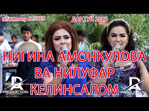 Видео: Срочно! 😱#Нигина Амонкулова  Нилуфари Шайдони келинсалом #diskomany #Nigina Amonqulova #Asht #music