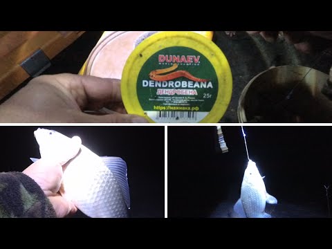 Видео: КАРАСЬ  ОЗ.БАЙНАУШ ЧЕЛЯБИНСКАЯ ОБЛ. 9.10.21