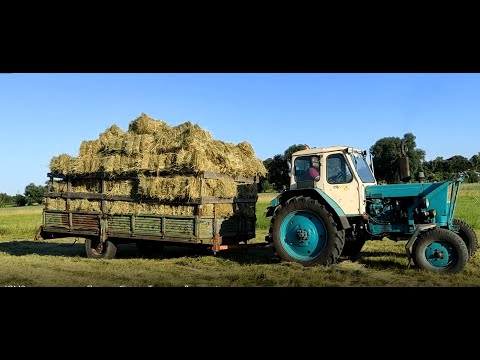 Видео: Трактор ЮМЗ знову шпарить Sipma Z 224/1Тюкуємо Лугове сіно