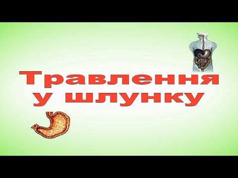 Видео: Травлення у шлунку  Фізіологія людини