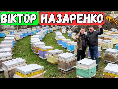 Видео: На Пасіці Віктора Назаренка 500+🐝 Технологія бджільництва ✅