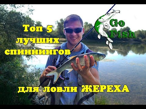 Видео: Тп 5 ЛУЧШИХ спиннингов для ловли ЖЕРЕХА