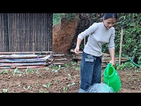 Видео: Что произойдет с жизнью Ли Ти Йен, когда староста деревни перестанет помогать ей?