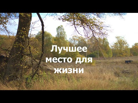 Видео: Плюсы жизни в деревне