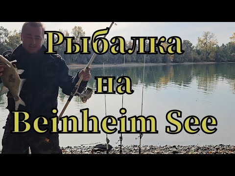 Видео: Активная рыбалка 🎣 на Bahnheim See Активные поклёвки она за одной клевал лещ и плотва #рыбалка #лещ 