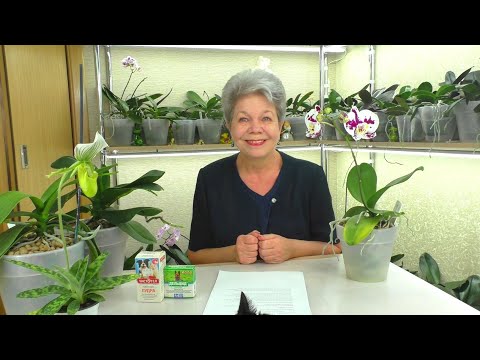 Видео: №17. Ответы на вопросы ИЗ ЖИЗНИ ОРХИДЕЙ 💐 "Вопрос в КОПИЛКУ Знаний" от ПОДПИСЧИКОВ 😊  30.10.2021г.