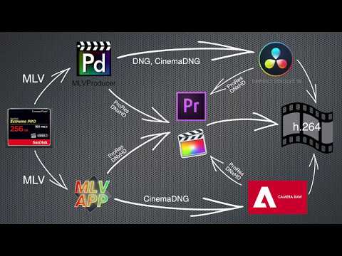 Видео: ML RAW Video: программы для обработки. Часть I: Общий обзор