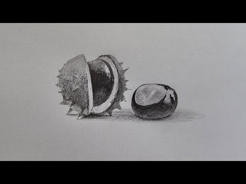 Видео: как нарисовать каштан, зачем рисовать  все что угодно