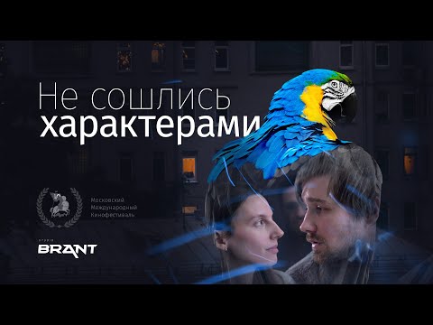 Видео: Не сошлись характерами / Короткометражный фильм / 2023