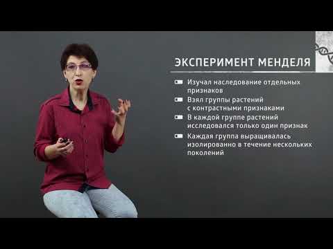 Видео: 3 2 1  Законы Менделя – классическая генетика