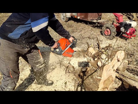 Видео: Бензопила  Oleo-mac GS 650. Рассказ про пилу и показываю в работе.