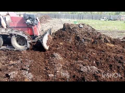 Видео: Расталкиваю перегной на огороде минитрактором