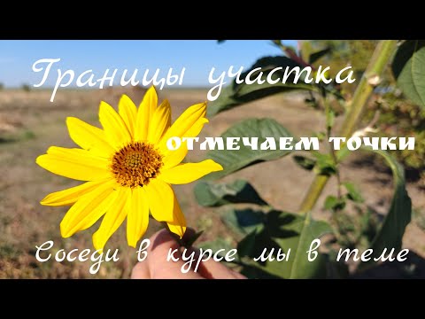 Видео: СТРОИМ ДОМ ВСЕЙ СЕМЬЁЙ:#2🏡 Границы участка 