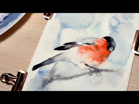 Видео: Скетч акварелью Снегирь  Стрим от 11.12.21