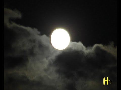 Видео: В ніч на Купала. Ніжин 06.07.2017