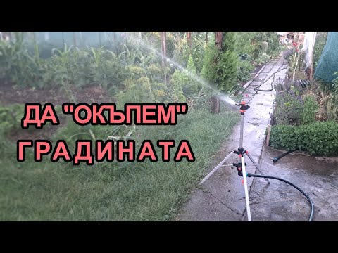 Видео: Разпръсквач за жегите в градината ми без копане / Tony's permaculture garden