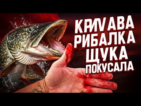 Видео: Кривава рибалка: щука покусала!