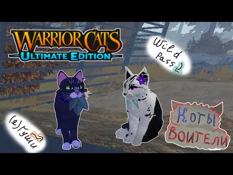 Видео: Изучаем территорию племени теней и спасаемся от злых собак! //Видео с @Galaxy0Wolfi //