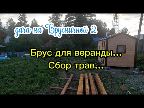 Видео: Воскресный день на даче | сбор трав | обработка бруса | #загороднаяжизнь #дача #брусничная2 #стройка