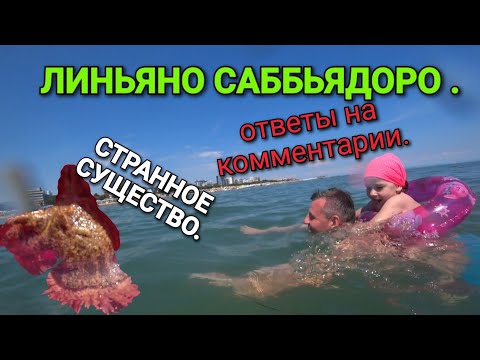 Видео: 7.🇮🇹 ЛИНЬЯНО САББЬЯДОРО. МОРСКОЙ ЗАЯЦ. ОТВЕЧАЕМ НА КОММЕНТАРИИ.