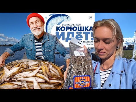 Видео: Корюшка идет! Рыбное пиршество в Новой Ладоге.