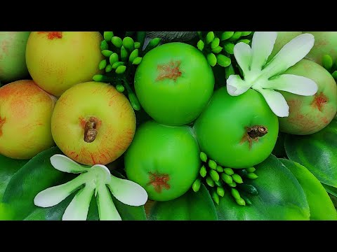 Видео: Мыльные яблоки и яблочки