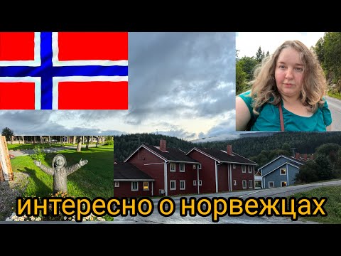 Видео: какие они  норвежцы  интересные наблюдения 🇧🇻