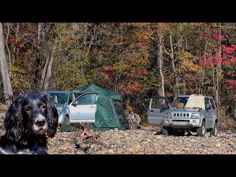 Видео: ПЕЙЗАЖ ОСЕНИ.  Приморский край. Уссурийская Тайга.