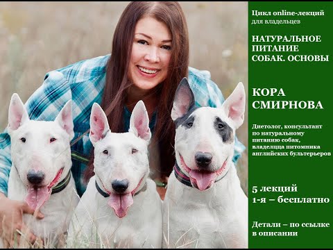 Видео: Натуральное питание собак. Кости.