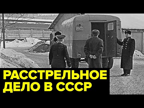 Видео: Золото в МОГИЛЕ дочери. Громкое дело советского мошенника Георгия Зуйкова