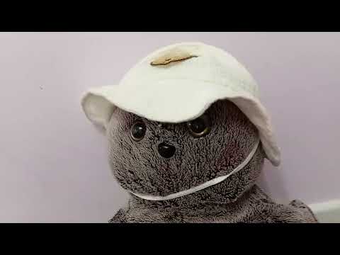 Видео: Жужик собирается 