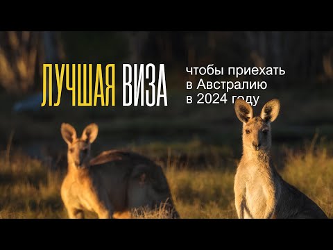 Видео: По какой визе лучше всего переехать в Австралию в 2024? Рассказывает миграционный агент из Австралии