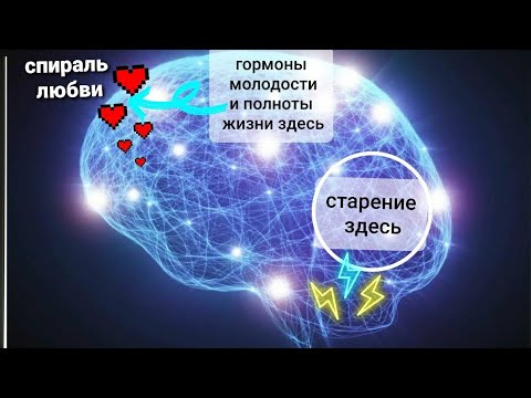 Видео: ОСТАНОВИ СТАРЕНИЕ! Все, кто не знают этот ЗАКОН ПРИРОДЫ, СТАРЕЮТ БЫСТРЕЕ ментально и физически