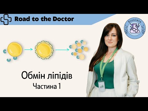 Видео: Обмін ліпідів | Частина 1 | Перетравлення ліпідів. Ресинтез ТАГ. Транспорт ліпідів.