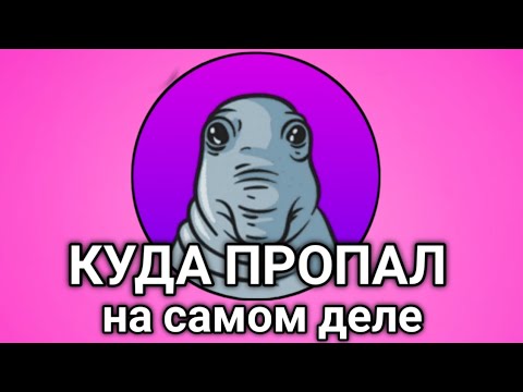 Видео: Куда пропал Dalmee на самом деле