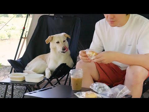 Видео: Спокойный речной кемпинг с моей собакой 🌊 Где поздняя весна встречается с ранним летом