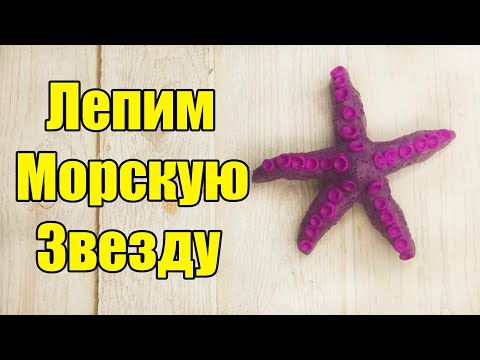 Видео: Как слепить Морскую Звузду из пластилина