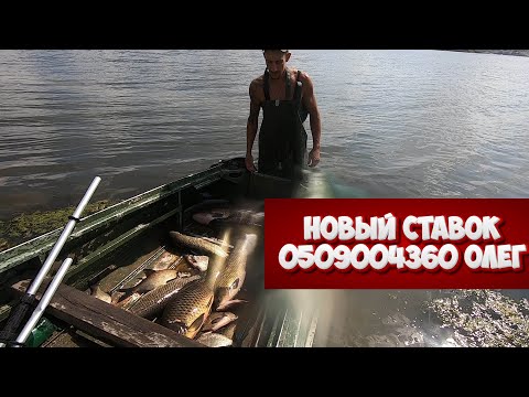 Видео: новый ставок Таборовка Вознесенский р он