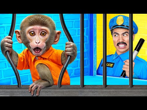 Видео: Побег Обезьянки из Тюрьмы для Домашних Животных от Multi DO Smile