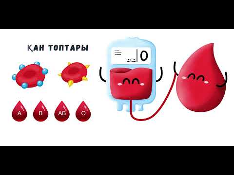 Видео: 9_класс_Биология_3_токсан_Адам қан топтарының тұқымқуалау заңдылықтары. Резус-фактор.