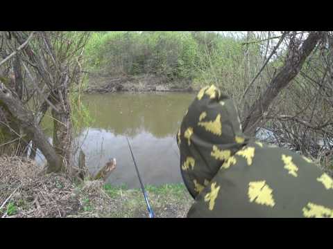 Видео: Рыбалка на реке Бузим. Ловля белой рыбы (Лещ, Карась, Плотва)