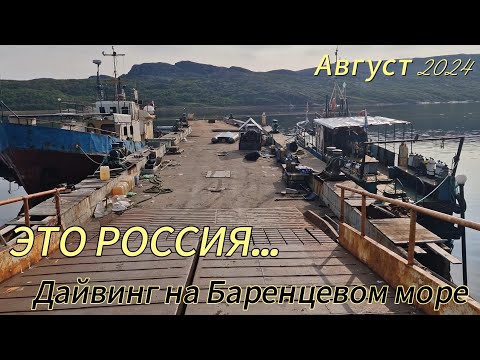 Видео: Дайвинг на Баренцевом Море. Лиинахамари. Август 2024. AW DIVING