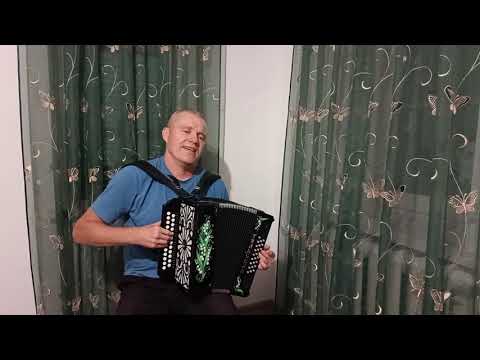 Видео: А журавли летять