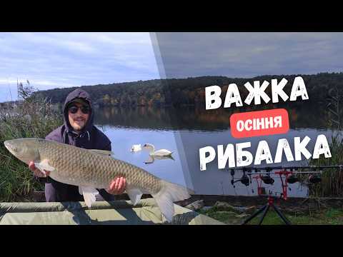 Видео: ОСІННЯ РИБОЛОВЛЯ НА ОЗЕРІ ДОБРОГОСТІВ. Важка рибалка на карпа в холодні воді