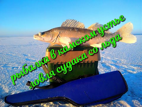 Видео: Зимняя рыбалка в Камском устье  Впервые ловим судака со льда!