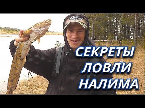 Видео: Секреты РЫБОЛОВА!  Всё о донке - закидушке на налима! Выбор места и тд .